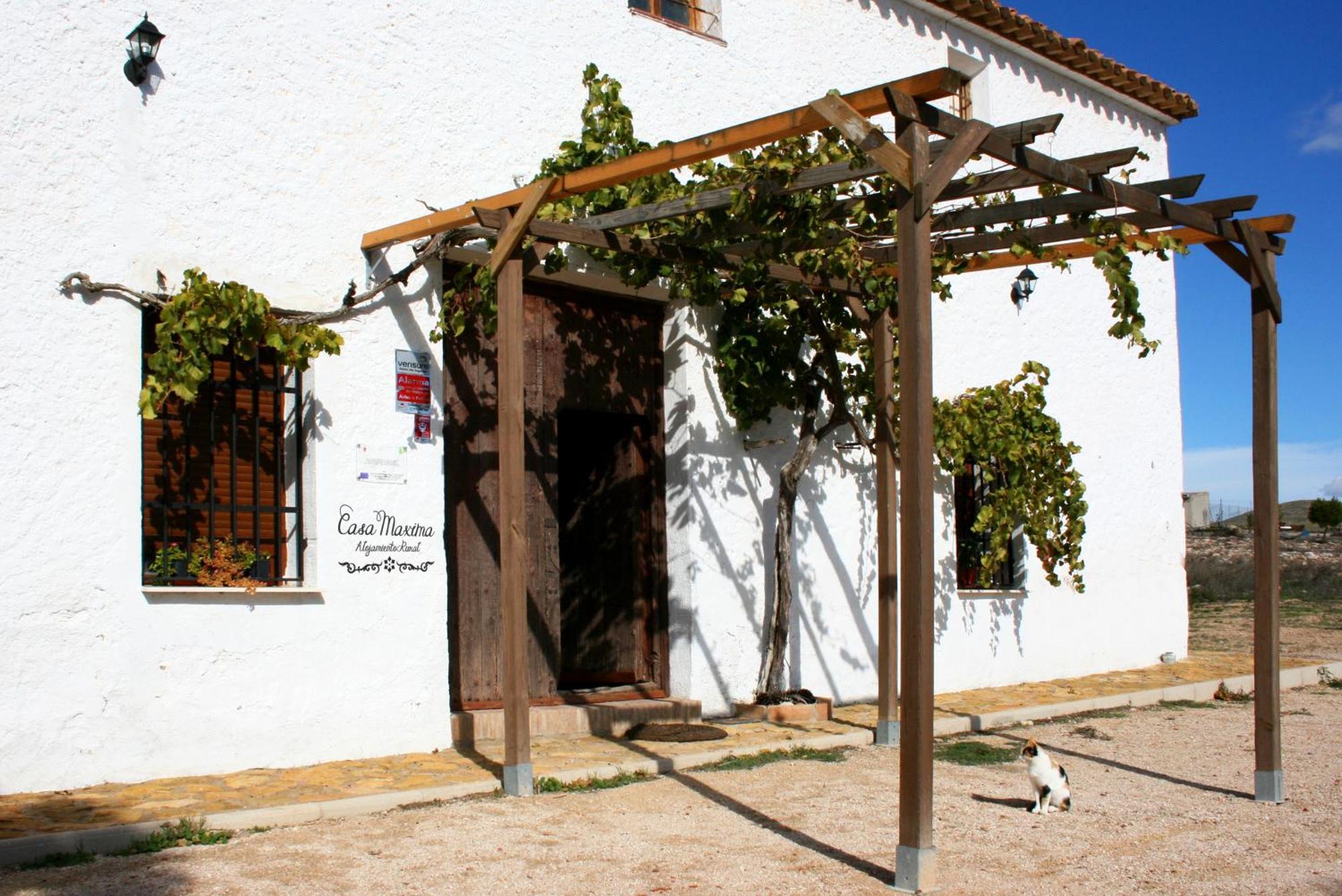 Casa Rural Casa Maxima Yecla Extérieur photo