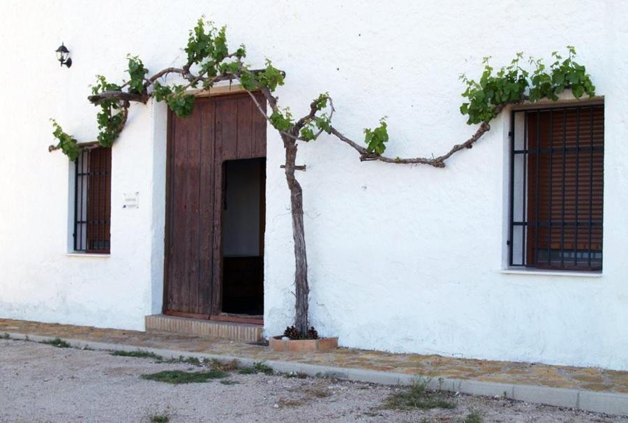 Casa Rural Casa Maxima Yecla Chambre photo